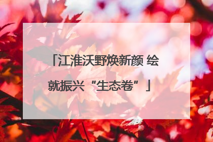 江淮沃野焕新颜 绘就振兴“生态卷”