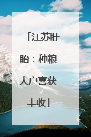 江苏盱眙：种粮大户喜获丰收