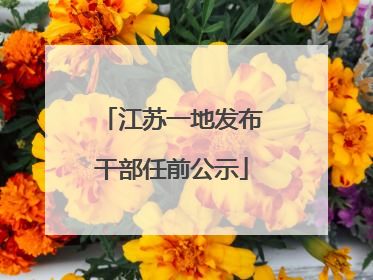 江苏一地发布干部任前公示