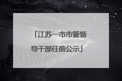 江苏一市市管领导干部任前公示