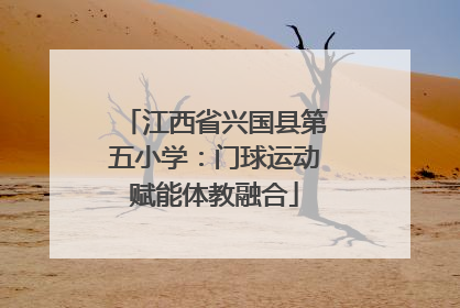 江西省兴国县第五小学：门球运动赋能体教融合