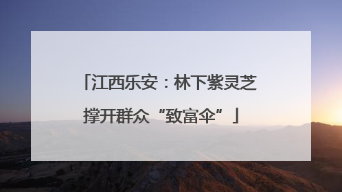 江西乐安：林下紫灵芝撑开群众“致富伞”