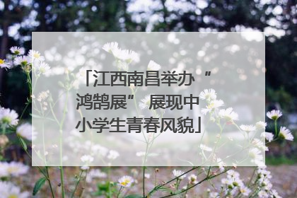 江西南昌举办“鸿鹄展” 展现中小学生青春风貌