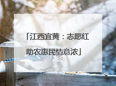 江西宜黄：志愿红助农惠民情意浓