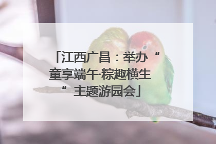 江西广昌：举办“童享端午·粽趣横生”主题游园会