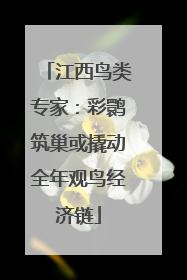 江西鸟类专家：彩鹮筑巢或撬动全年观鸟经济链
