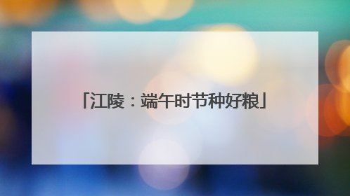 江陵：端午时节种好粮