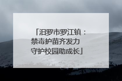 汨罗市罗江镇：禁毒护苗齐发力 守护校园助成长