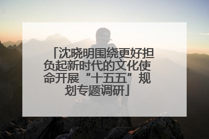 沈晓明围绕更好担负起新时代的文化使命开展“十五五”规划专题调研