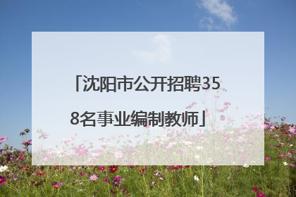 沈阳市公开招聘358名事业编制教师