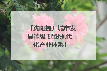 沈阳提升城市发展能级 建设现代化产业体系