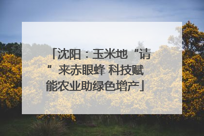 沈阳：玉米地“请”来赤眼蜂 科技赋能农业助绿色增产