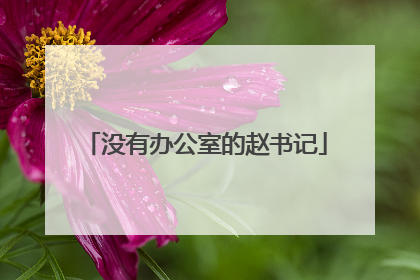 没有办公室的赵书记