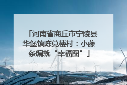 河南省商丘市宁陵县华堡镇陈兑楼村：小藤条编就“幸福图”