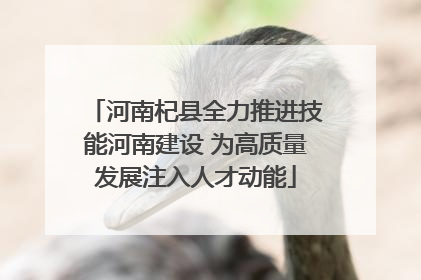 河南杞县全力推进技能河南建设 为高质量发展注入人才动能