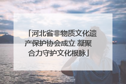 河北省非物质文化遗产保护协会成立 凝聚合力守护文化根脉