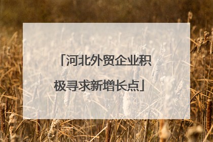 河北外贸企业积极寻求新增长点