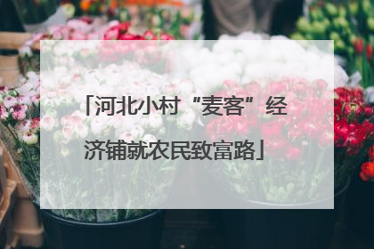 河北小村“麦客”经济铺就农民致富路