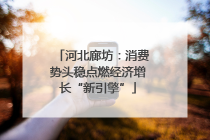 河北廊坊：消费势头稳点燃经济增长“新引擎”