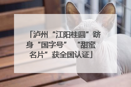 泸州“江阳桂圆”跻身“国字号” “甜蜜名片”获全国认证
