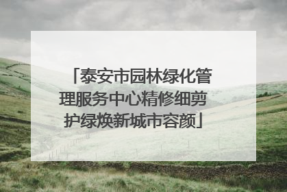 泰安市园林绿化管理服务中心精修细剪护绿焕新城市容颜