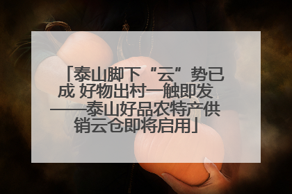 泰山脚下“云”势已成 好物出村一触即发——泰山好品农特产供销云仓即将启用