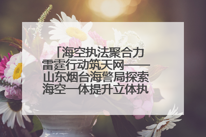 海空执法聚合力 雷霆行动筑天网——山东烟台海警局探索海空一体提升立体执法效能纪实