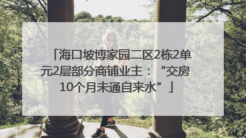 海口坡博家园二区2栋2单元2层部分商铺业主：“交房10个月未通自来水”