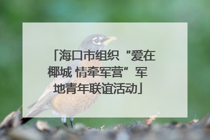 海口市组织“爱在椰城 情牵军营”军地青年联谊活动