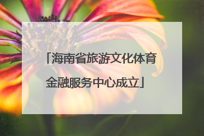 海南省旅游文化体育金融服务中心成立