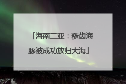 海南三亚：糙齿海豚被成功放归大海