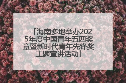 海南多地举办2025年度中国青年五四奖章暨新时代青年先锋奖主题宣讲活动