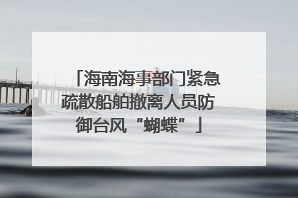 海南海事部门紧急疏散船舶撤离人员防御台风“蝴蝶”