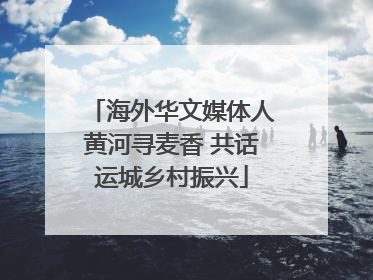 海外华文媒体人黄河寻麦香 共话运城乡村振兴