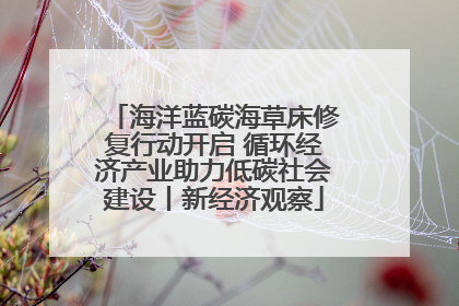 海洋蓝碳海草床修复行动开启 循环经济产业助力低碳社会建设丨新经济观察