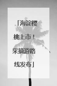 海淀樱桃上市！采摘游路线发布