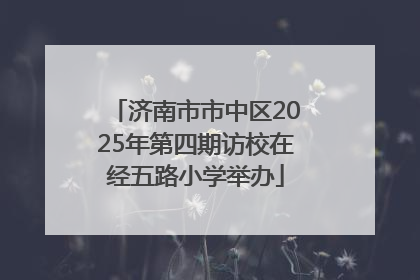 济南市市中区2025年第四期访校在经五路小学举办