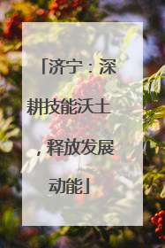 济宁：深耕技能沃土，释放发展动能