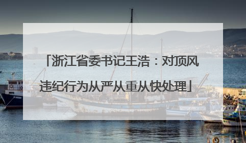 浙江省委书记王浩：对顶风违纪行为从严从重从快处理