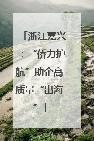 浙江嘉兴：“侨力护航”助企高质量“出海”