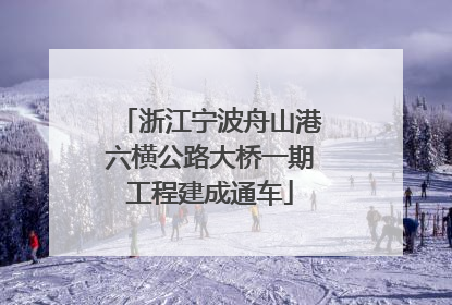 浙江宁波舟山港六横公路大桥一期工程建成通车