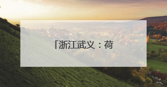浙江武义：荷花产业助致富