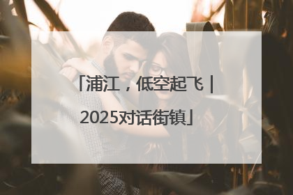浦江，低空起飞｜2025对话街镇