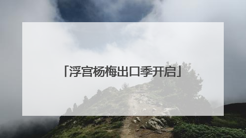 浮宫杨梅出口季开启
