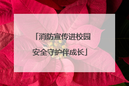 消防宣传进校园 安全守护伴成长