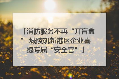 消防服务不再“开盲盒” 城陵矶新港区企业喜提专属“安全官”