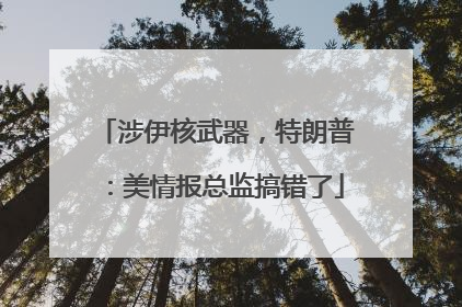 涉伊核武器，特朗普：美情报总监搞错了