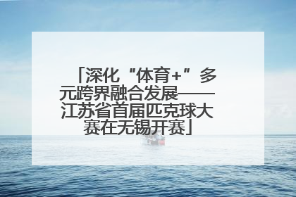 深化“体育+”多元跨界融合发展——江苏省首届匹克球大赛在无锡开赛