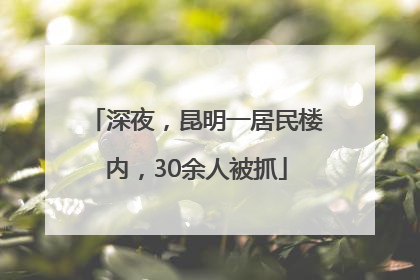 深夜，昆明一居民楼内，30余人被抓