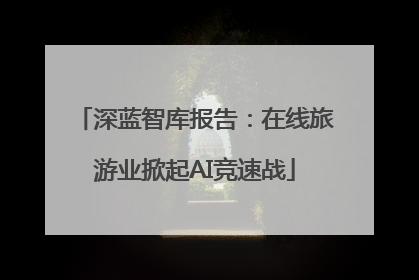 深蓝智库报告：在线旅游业掀起AI竞速战